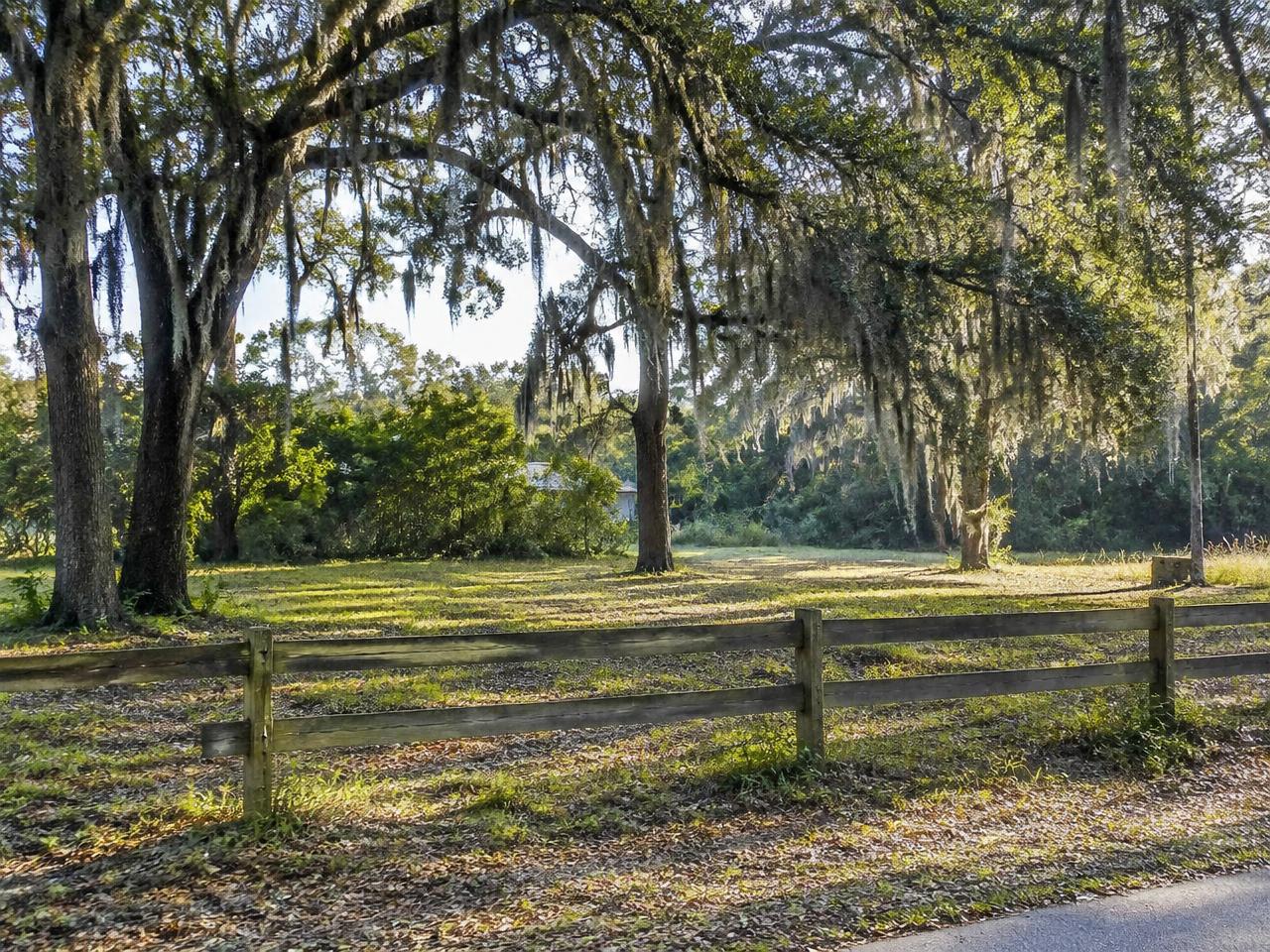 Vacant Florida lot shaded by oak trees